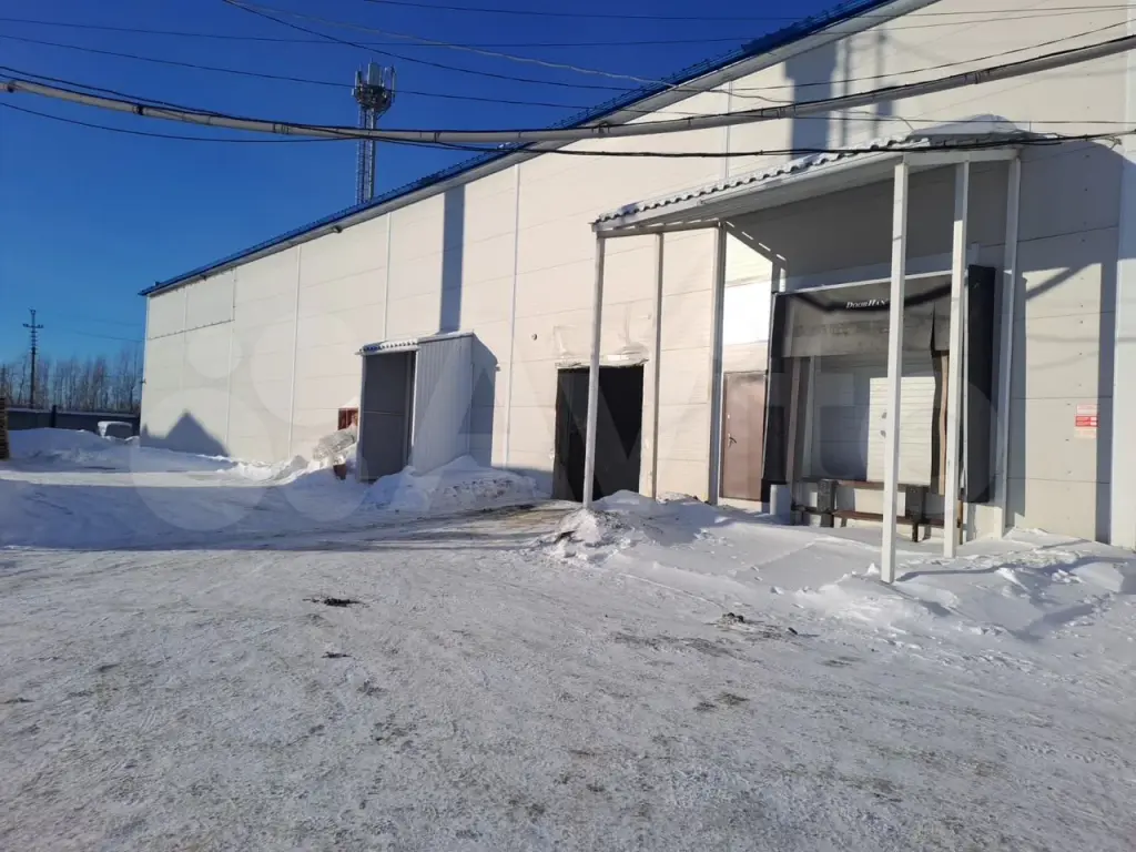 Тобольск | Помещение свободного назначения