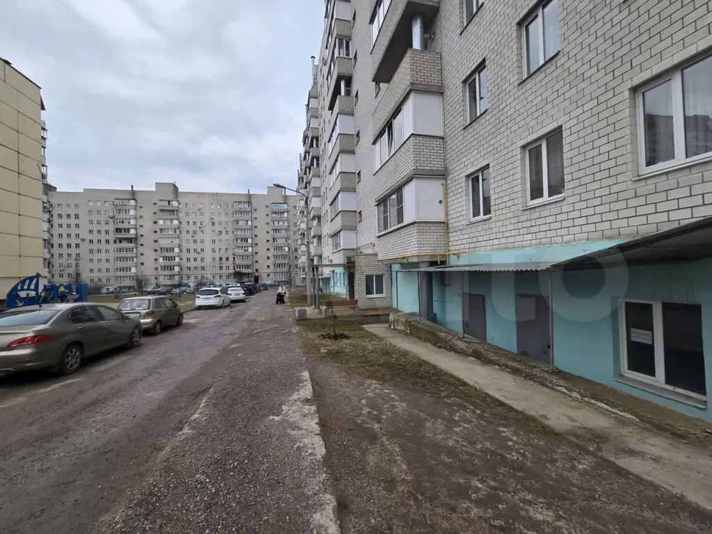 Железногорск | Торговое помещение (под магазин, аптеку и т. д.)