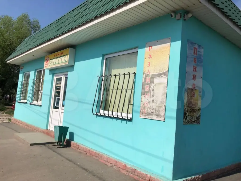 Мичуринск | Торговое помещение (под магазин, аптеку и т. д.)