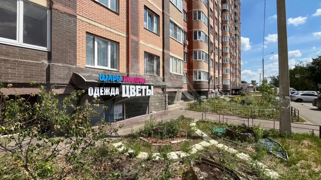 Щёлково | Торговое помещение (под магазин, аптеку и т. д.)